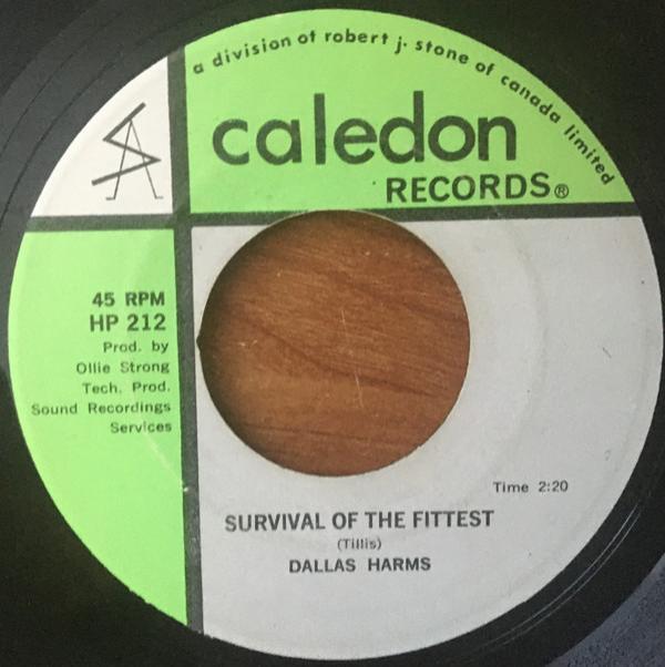 Dallas Harms - She's Gone / Survival of the Fittest